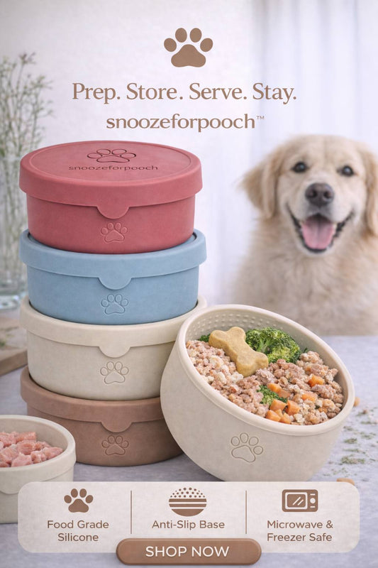 Silicone Dog Feeding Bowls with Lid (2-Piece Set)