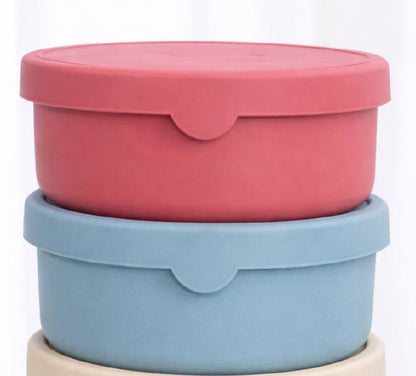 Silicone Dog Feeding Bowls with Lid (2-Piece Set)